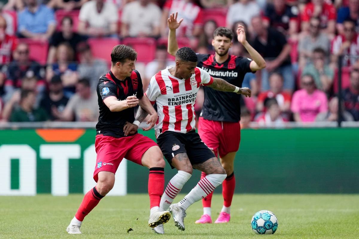 新月的精彩 新月的精彩