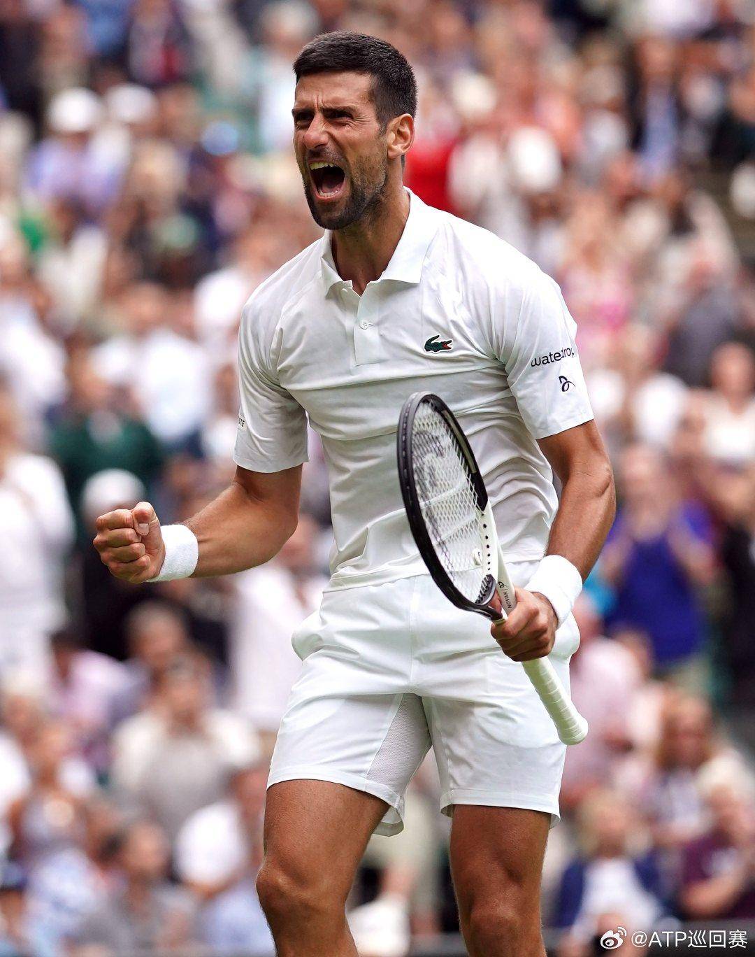 本赛季将引 本赛季将引