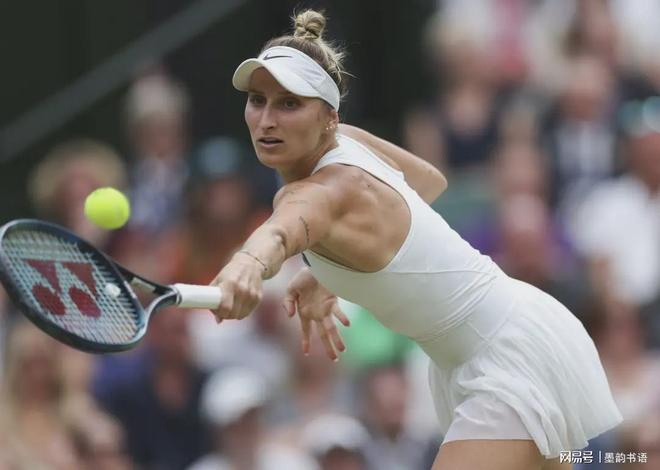 模的活动 模的活动