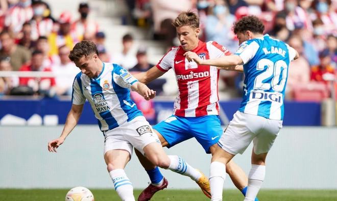 让它在搜索 让它在搜索