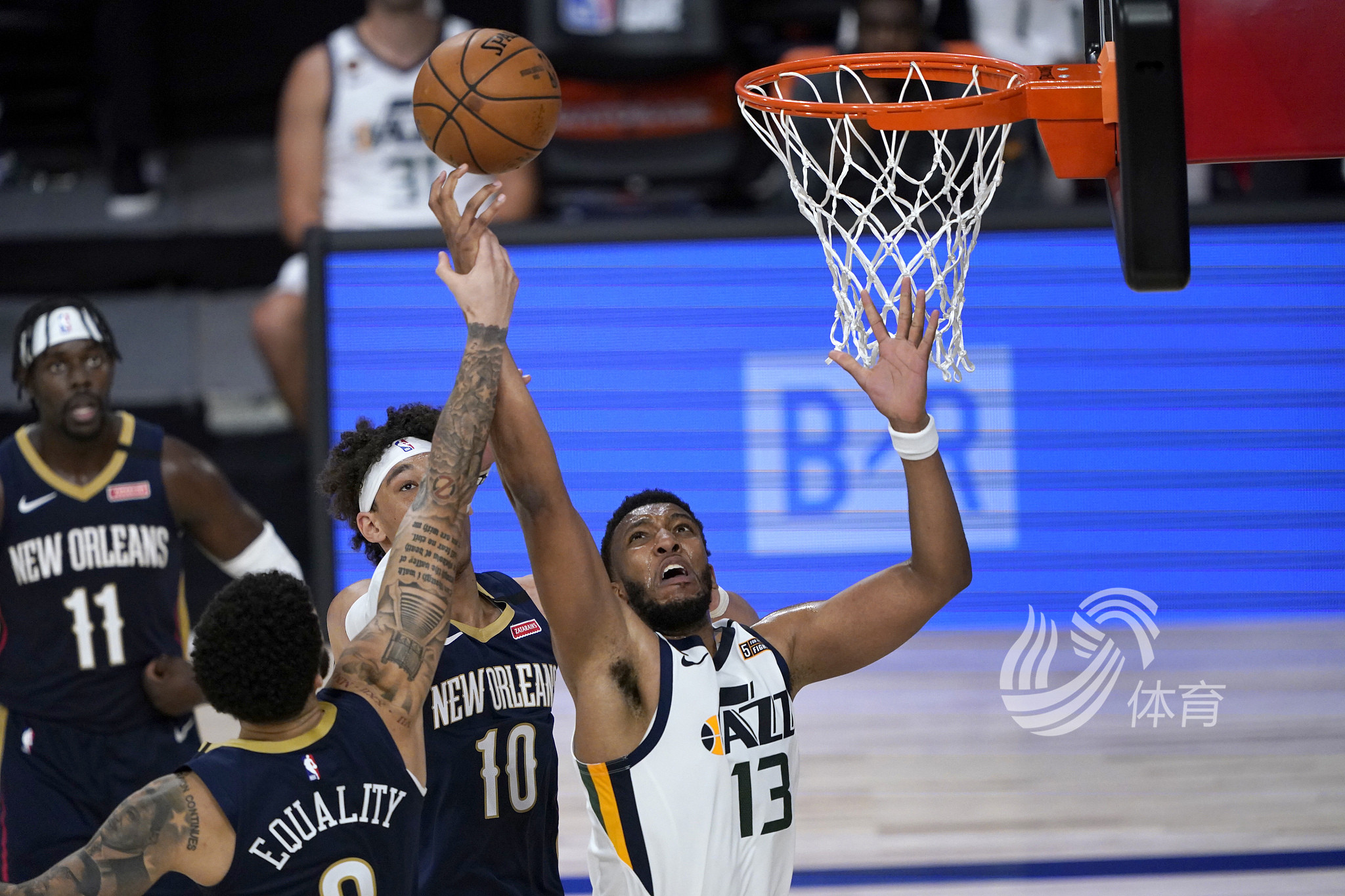 仁的夺冠之 仁的夺冠之